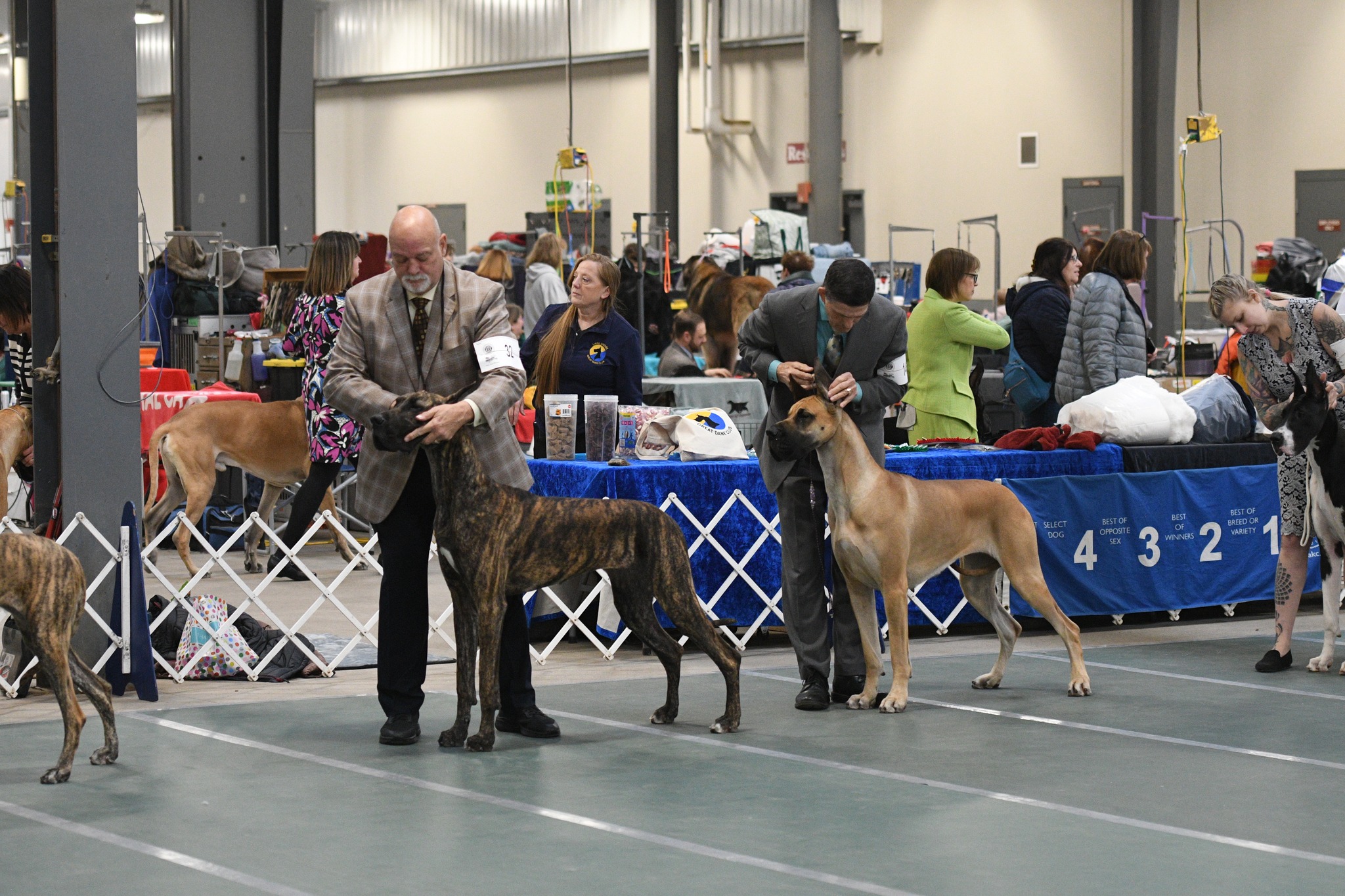 2025 Specialty Show